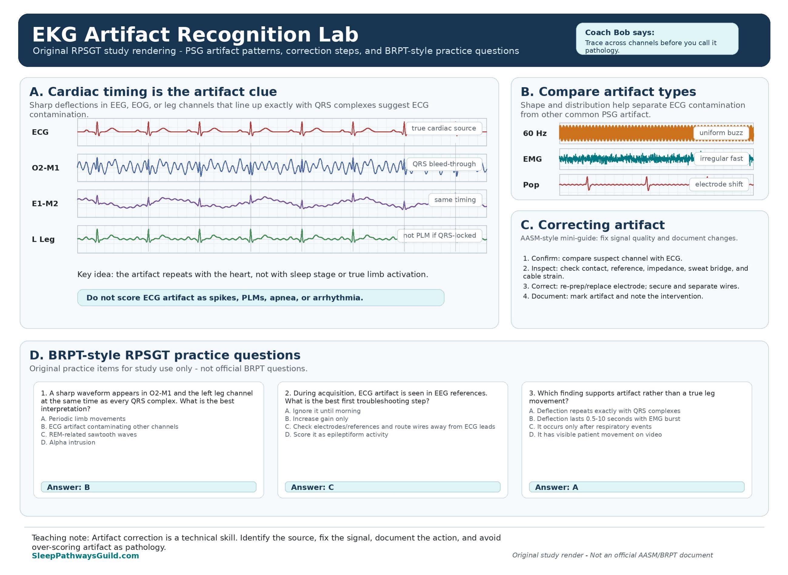 Sleep Pathways Guild EKG Artifact Recognition Lab study visual